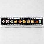 Helpful Bacteria Microslide